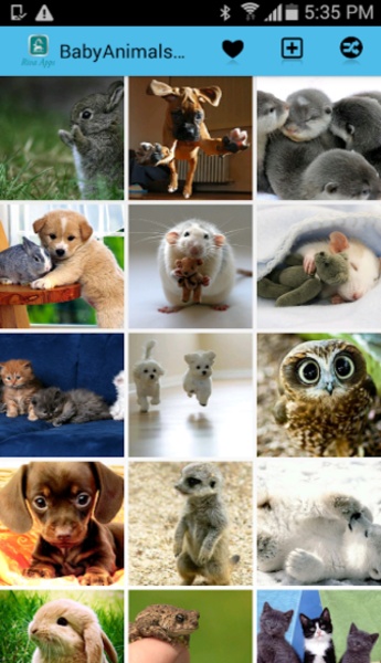 BabyAnimalsPictures - Preview 7