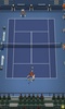 Pro Tennis 2014 screenshot 2