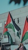 Palestine Wallpaper screenshot 13