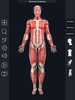 My Muscle Anatomy screenshot 8