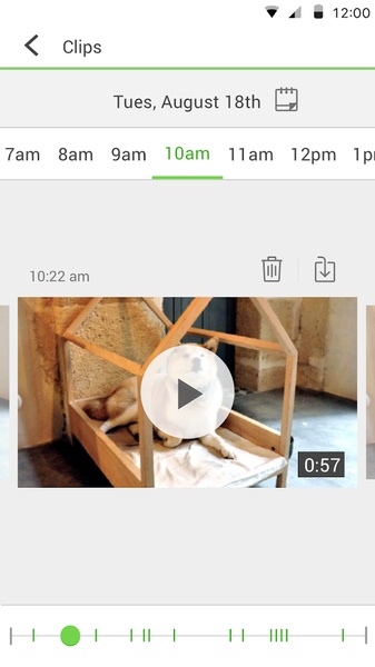 NetCam - Preview 2