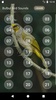 Bulbul Bird Sound Ringtones screenshot 3