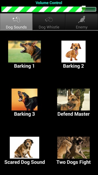 Dog Teaser - Preview 3