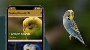 Parakeet Sounds screenshot 4