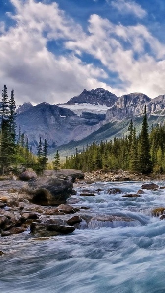 Nature Live Wallpaper - Preview 4
