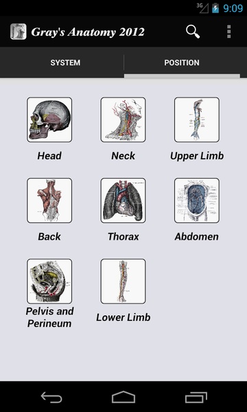 Grays Anatomy 2012 Lite - Preview 7