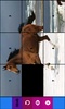 Horse Puzzle Games for Girls screenshot 2