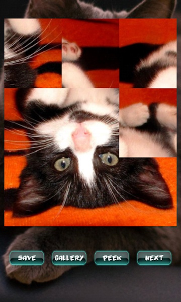Cat Puzzles - Preview 3