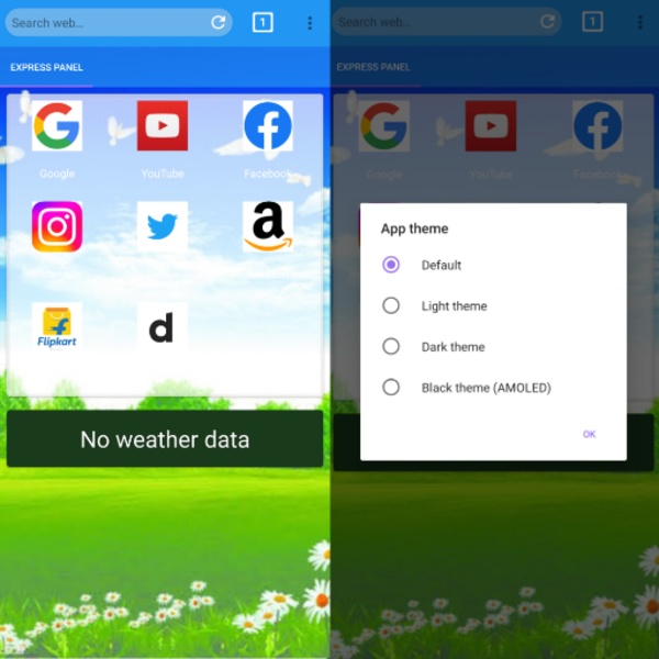 Mango Browser - Preview 4