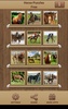 Pferde Puzzle-Spiele screenshot 8