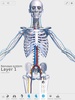 V. Anatomy screenshot 9