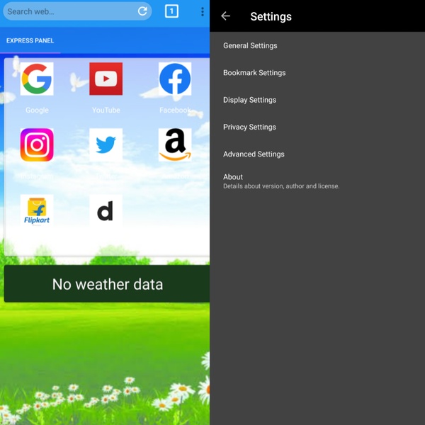Mango Browser - Preview 1