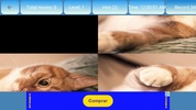 Puzzle cats and kitty screenshot 3