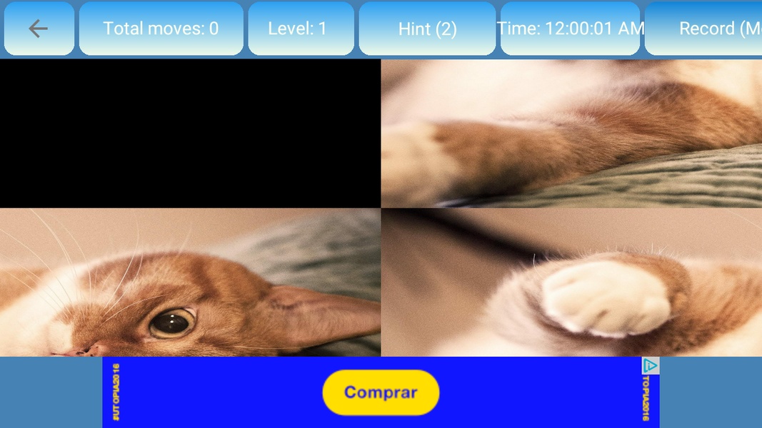 Puzzle Cats and Kitty - Preview 3