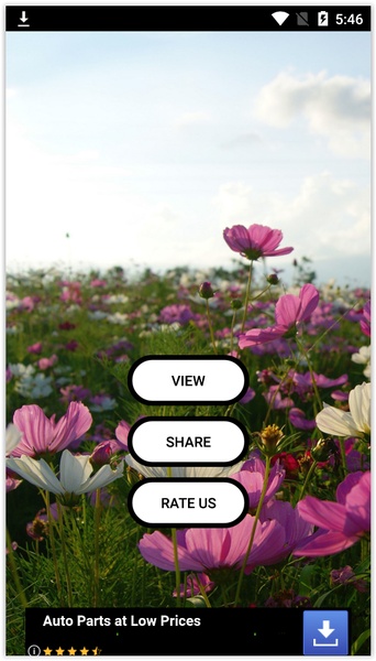 Garden Live Wallpapers - Preview 1