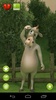 Talking Donkey screenshot 2