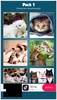 Cute Cats Jigsaw Puzzle screenshot 3