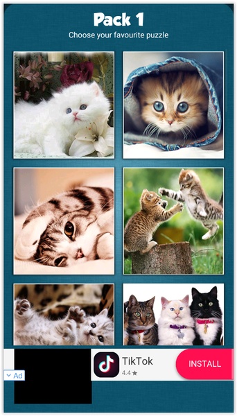 Cute Cats Jigsaw Puzzle - Preview 3