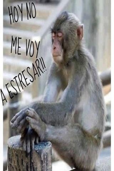 Imagenes Chistosas 3 - Preview 3