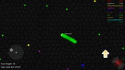 Worm Snake Zone screenshot 6