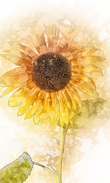 Sunflower Wallpaper - Preview 19