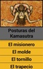 Kamasutra Fácil screenshot 2