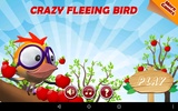 Crazy Fleeing Bird screenshot 8