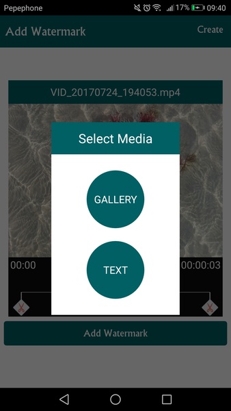 Add watermark to video - Preview 4
