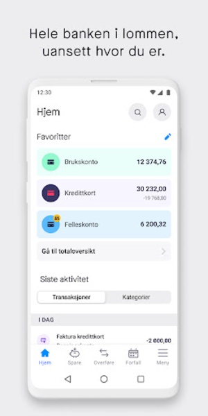 Mobilbank - Preview 8