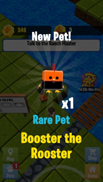 Pet Quest - Preview 16