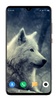 Wolf Wallpaper 4K screenshot 3