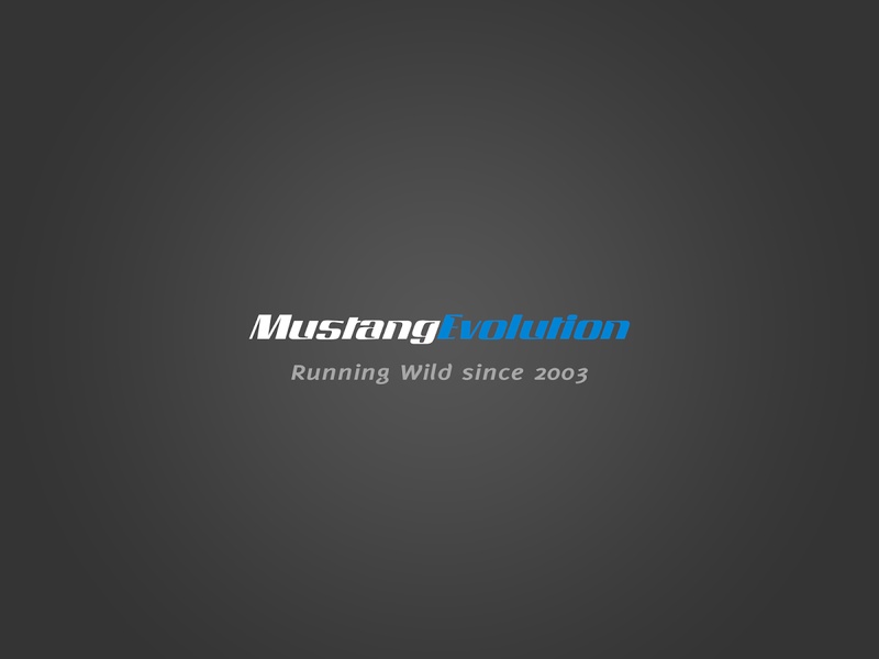 Mustang Evolution - Preview 3
