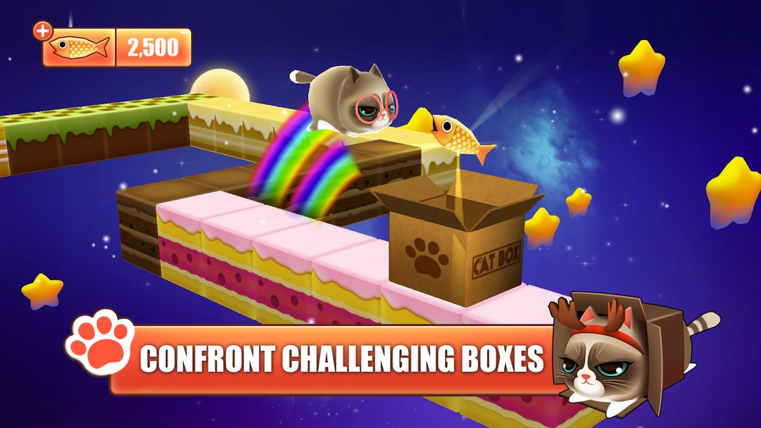 Kitty in the Box - Preview 8