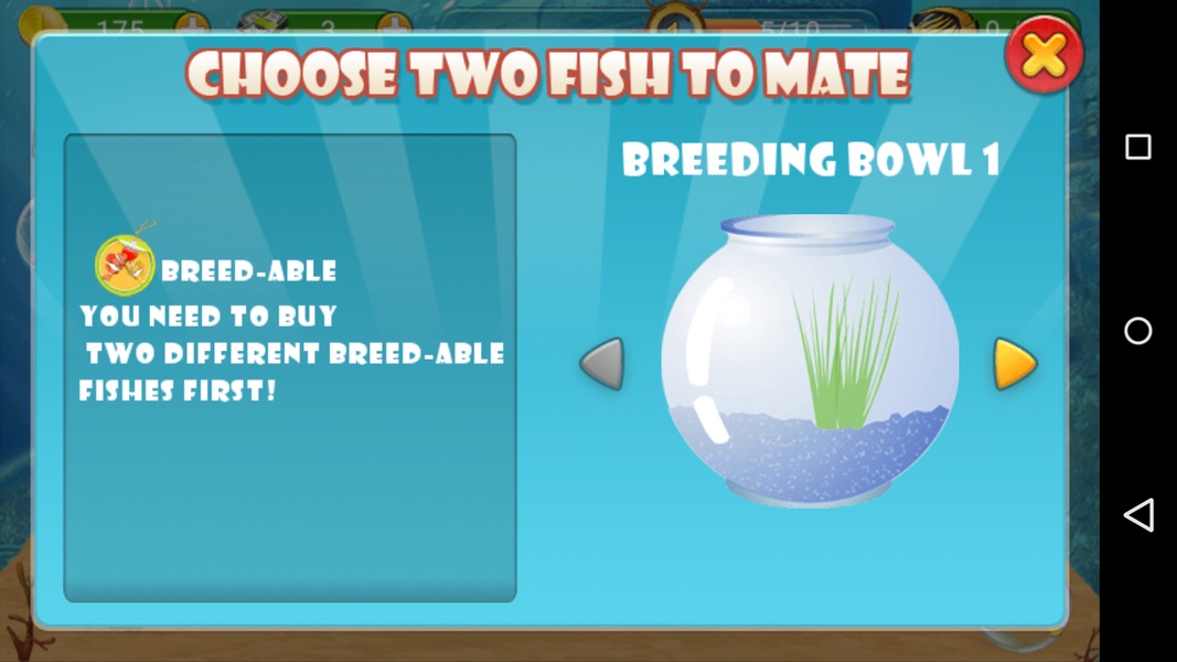Fish Live - Preview 3