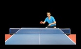 Table Tennis Edge screenshot 1