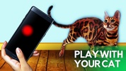 Game for cats! screenshot 3