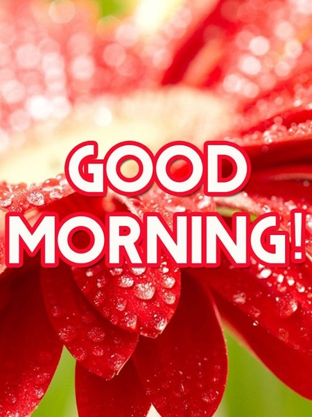 Good Morning - Preview 13
