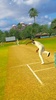 Cricket Megastar screenshot 5