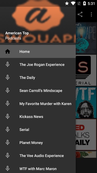 American Top Podcasts - Preview 5