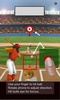 Baseball Homerun Fun screenshot 9