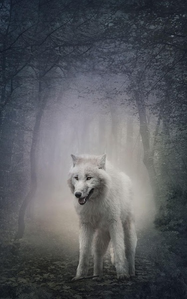Wild animals Live Wallpaper - Preview 3