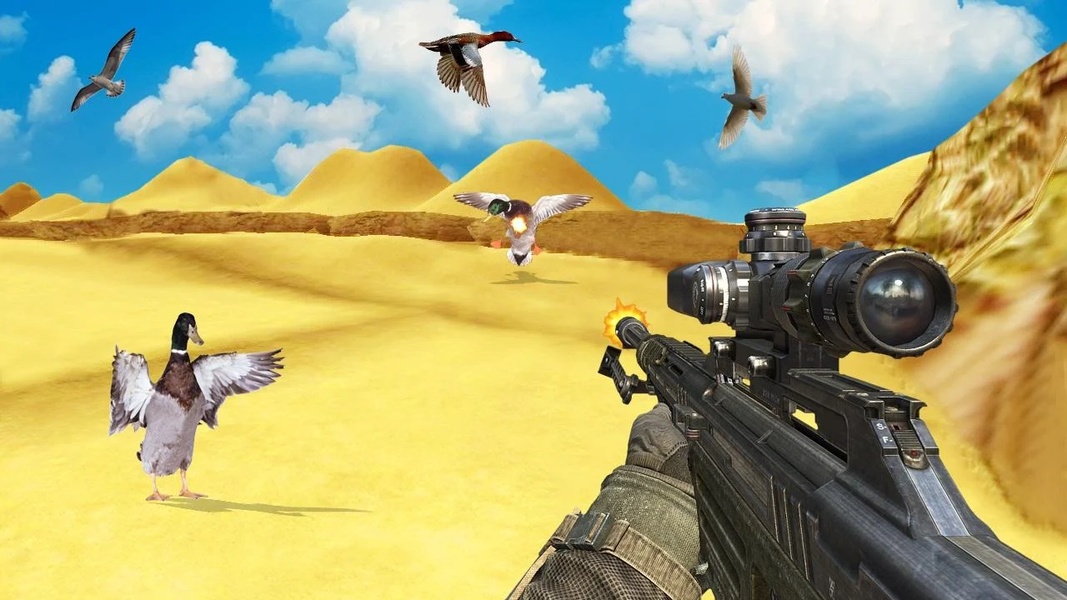 Birds Hunter In Desert - Preview 6