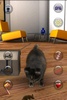 Talking Cat Funny screenshot 2