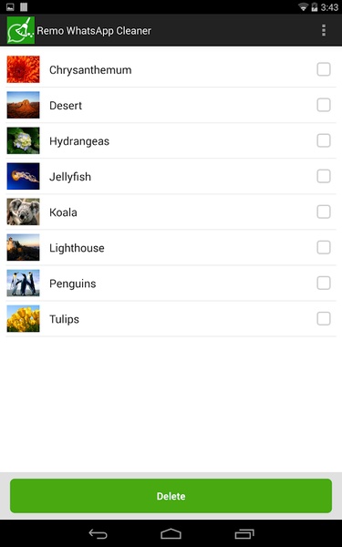 Remo Cleaner For Whatsapp - Preview 2