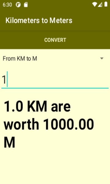Kilometers to Meters converter - Preview 4