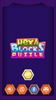 HexaBlocksPuzzle screenshot 6