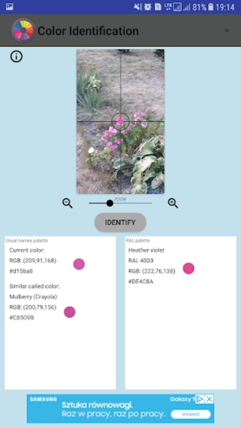 Color Identification - Preview 10