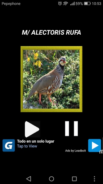 Reclamo perdiz - Preview 4