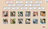 Guess the Dog: Tile Puzzles screenshot 8