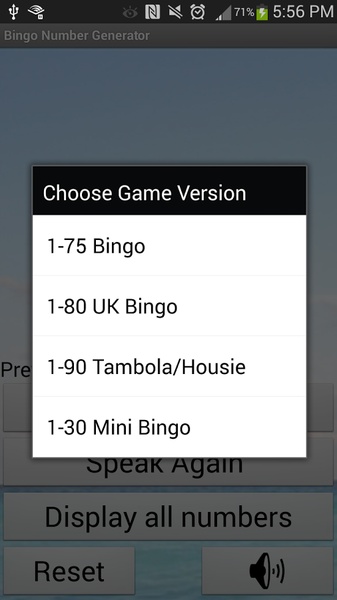 Bingo Number Generator - Preview 3